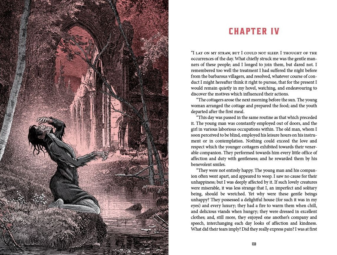 Frankenstein: Deluxe Illustrated Classics