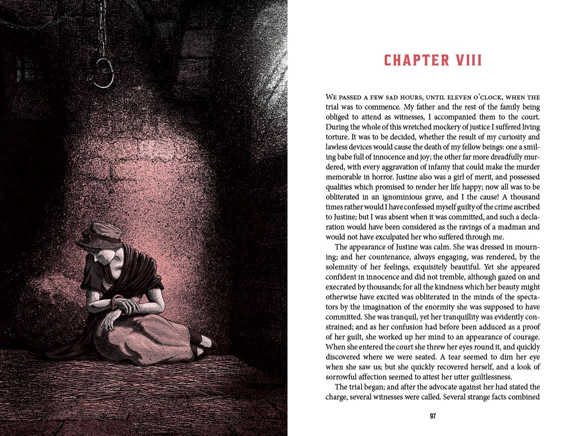 Frankenstein: Deluxe Illustrated Classics