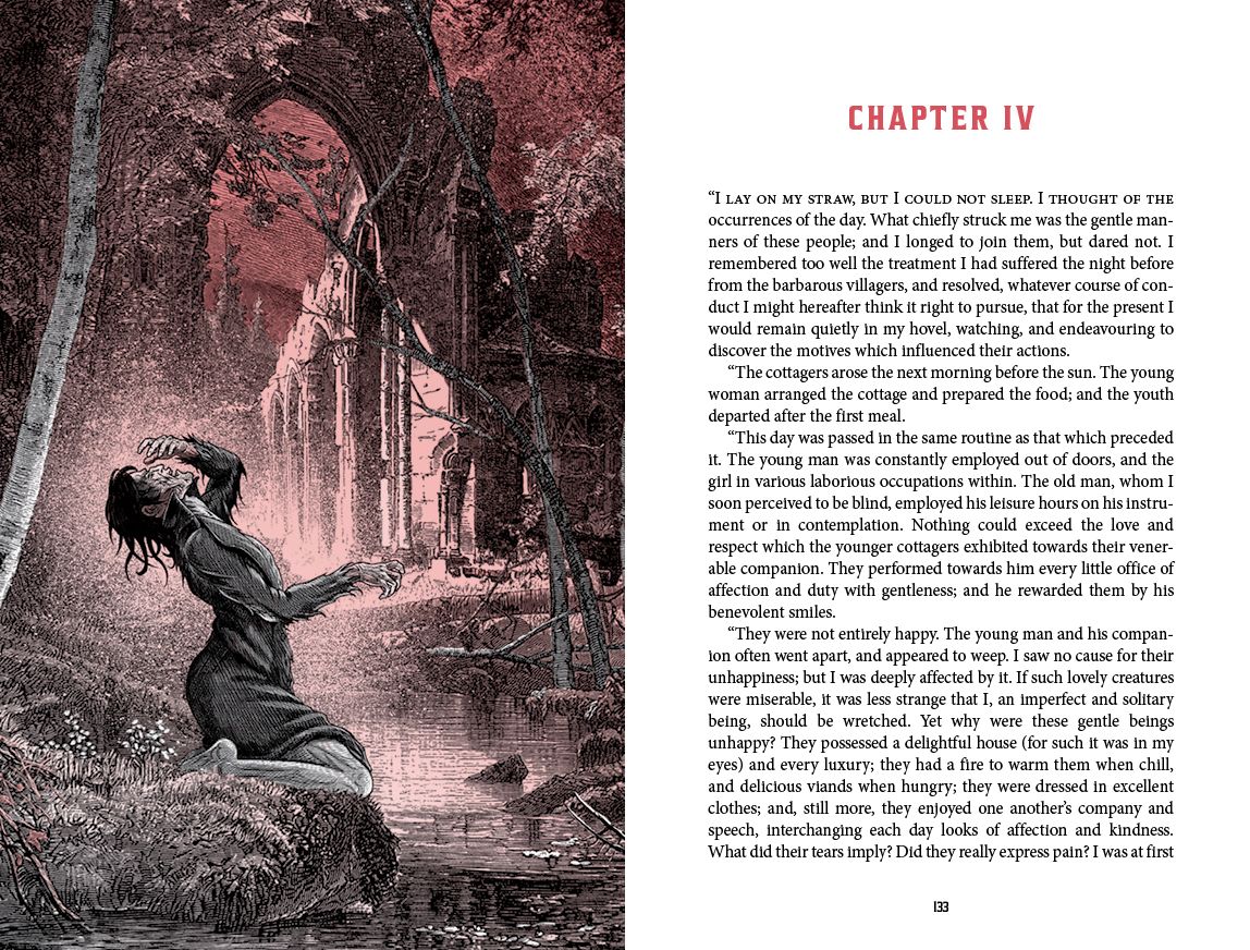 Frankenstein: Deluxe Illustrated Classics