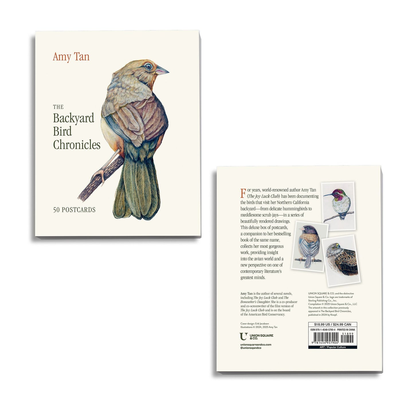 The Backyard Bird Chronicles: 50 Postcards