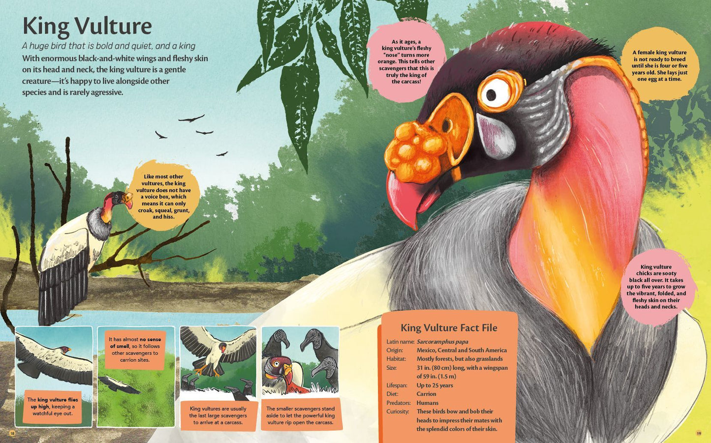 Curious Features of Extraordinary Creatures: Nature's Cleanup Crew