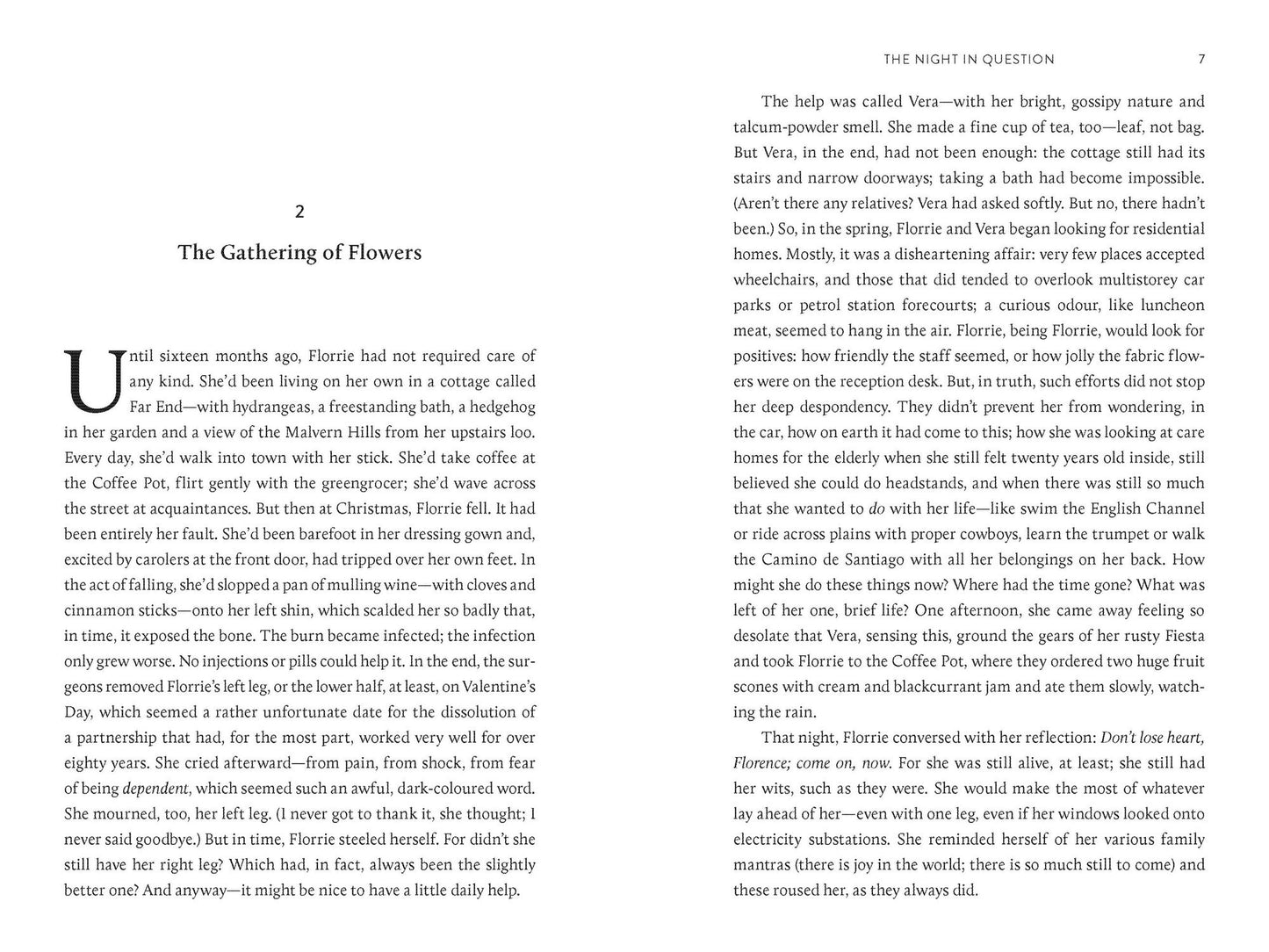 The Night in Question: A Novel