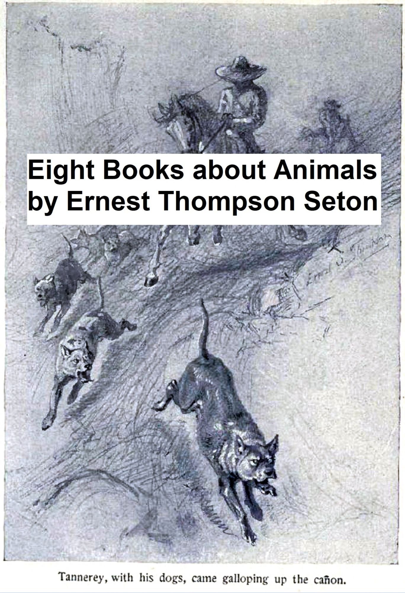 Ernest Thompson Seton: 8 Books About Animals