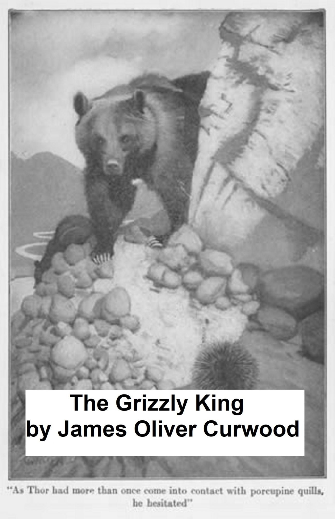 The Grizzly King: a Romance of the Wild
