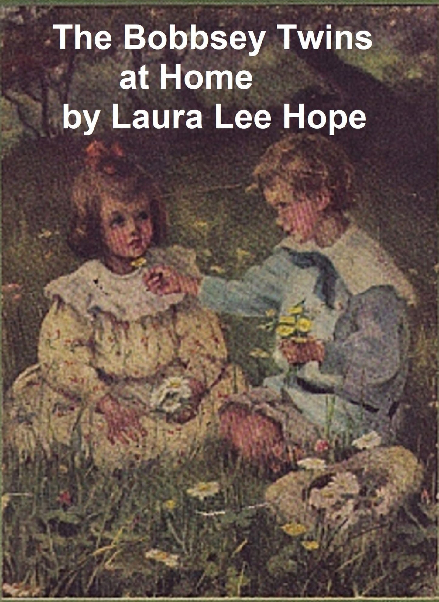 The Bobbsey Twins at Home