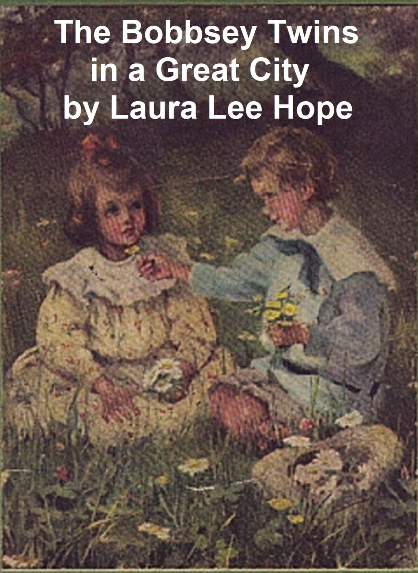 The Bobbsey Twins in a Great City