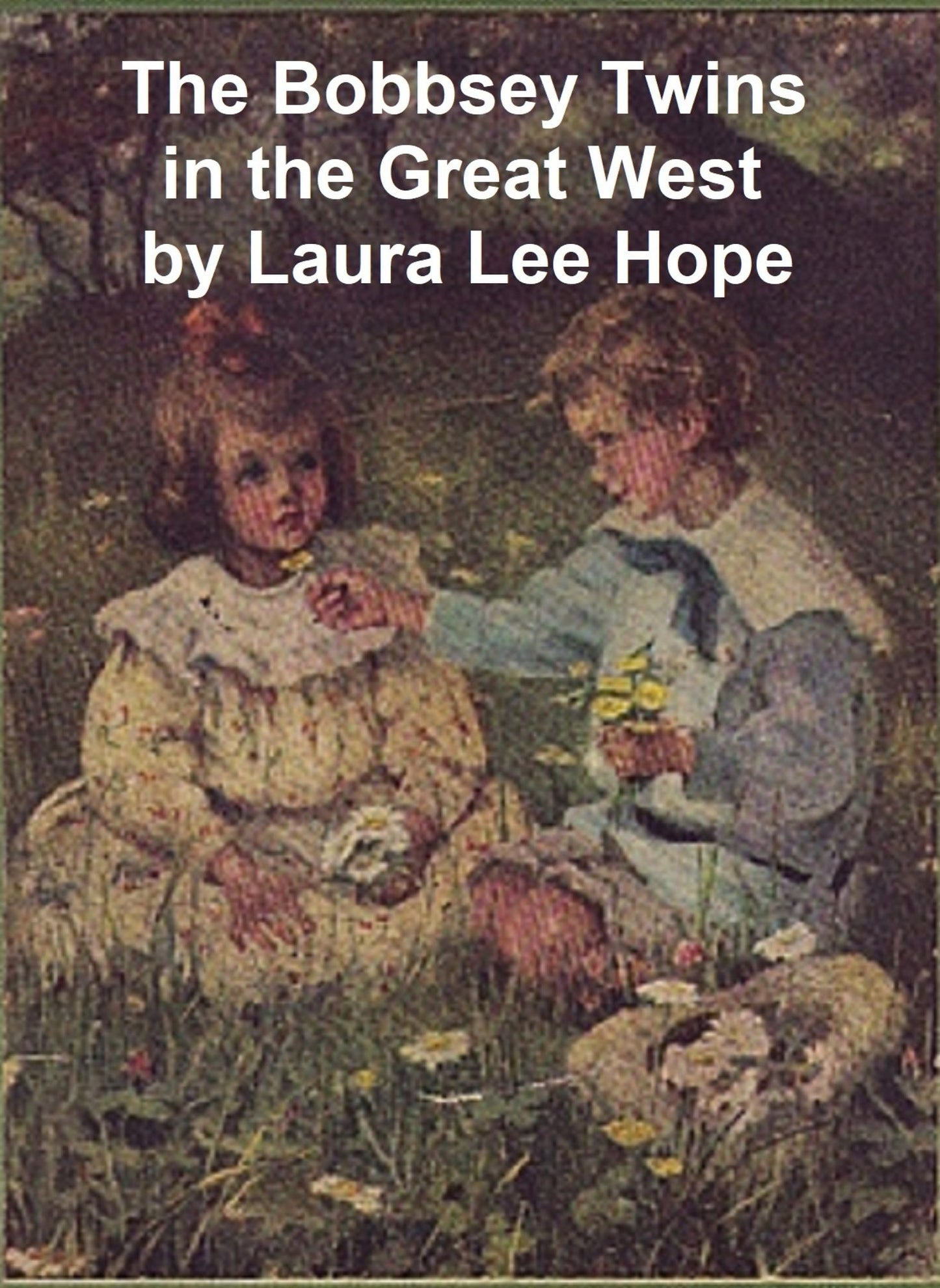 The Bobbsey Twins in the Great West
