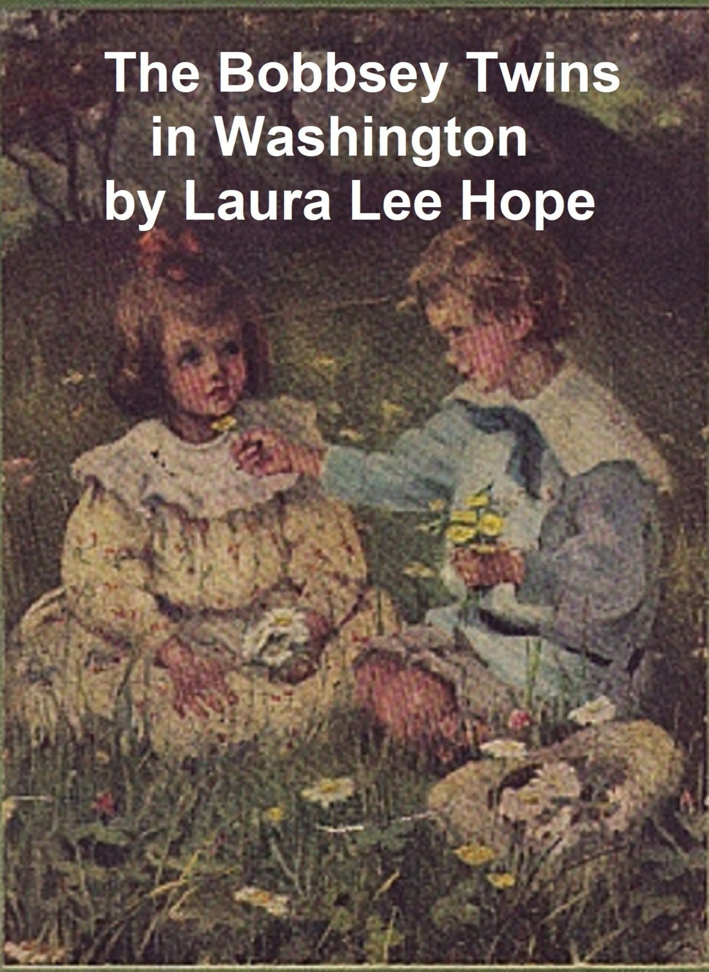 The Bobbsey Twins in Washington
