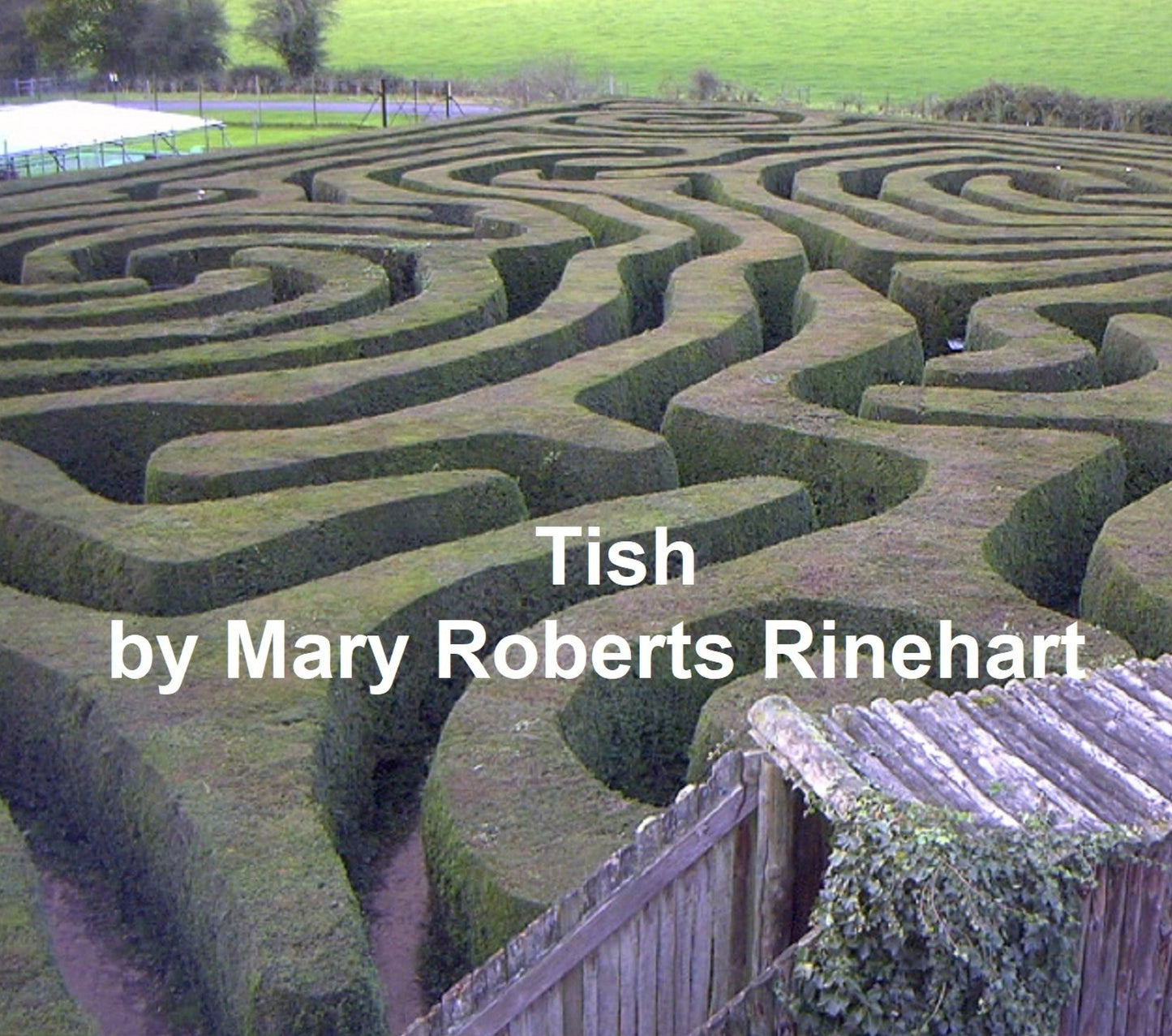 Tish: The Chronicle of Her Escapades and Excursions