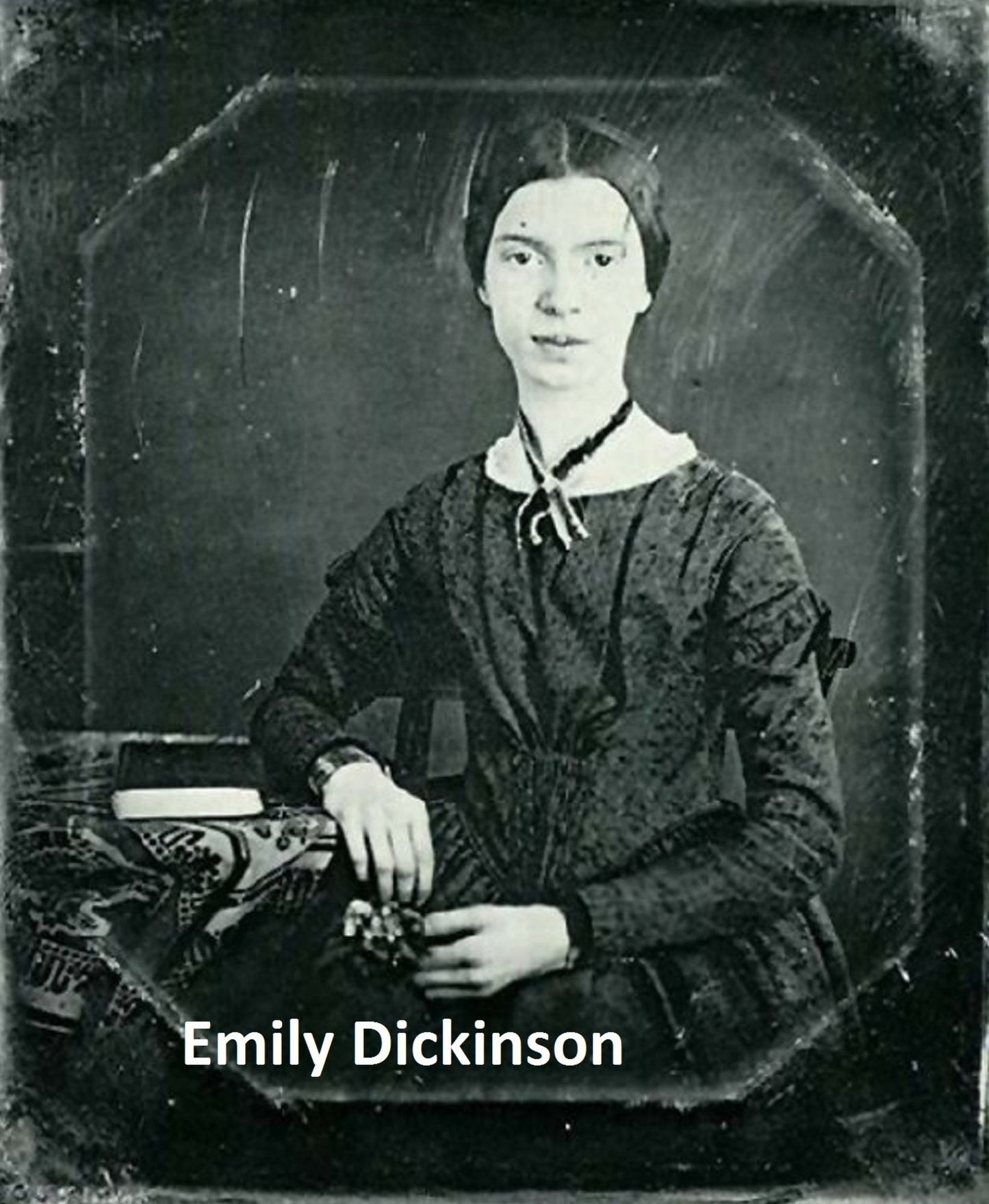 Emily Dickinson's poetical works (the original edition)