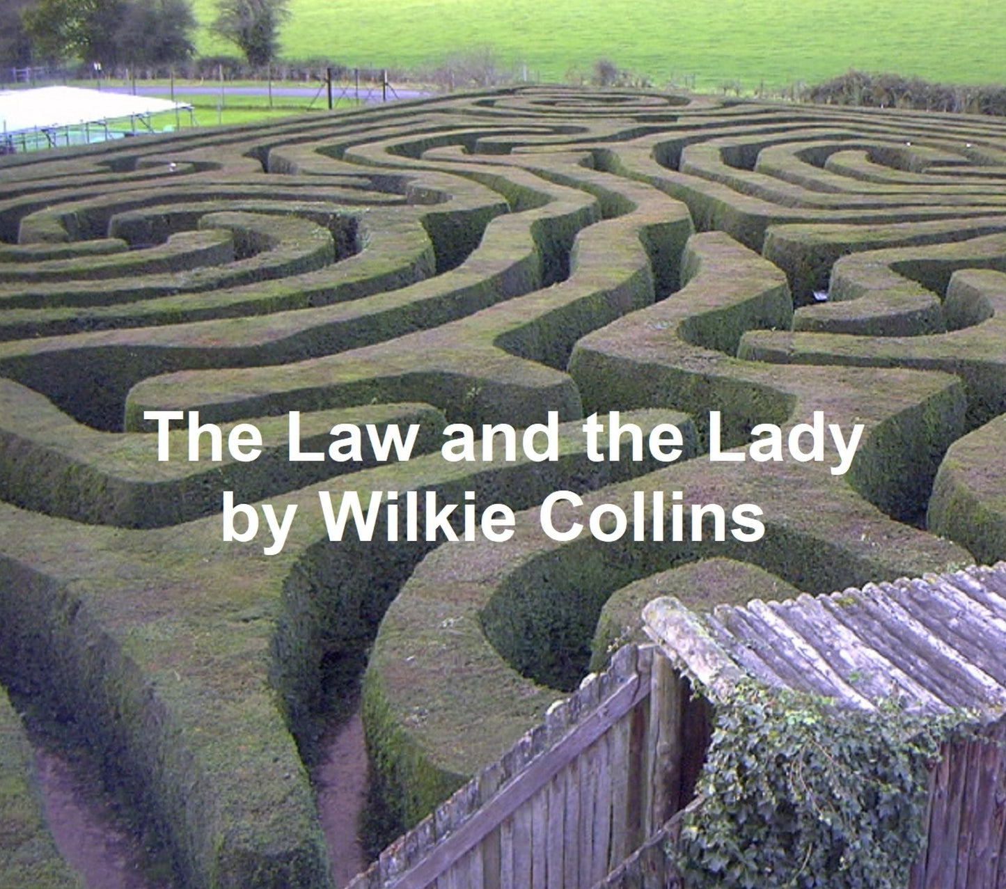 The Law and the Lady