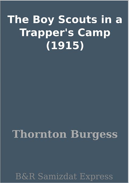 The Boy Scouts in a Trapper's Camp (1915)