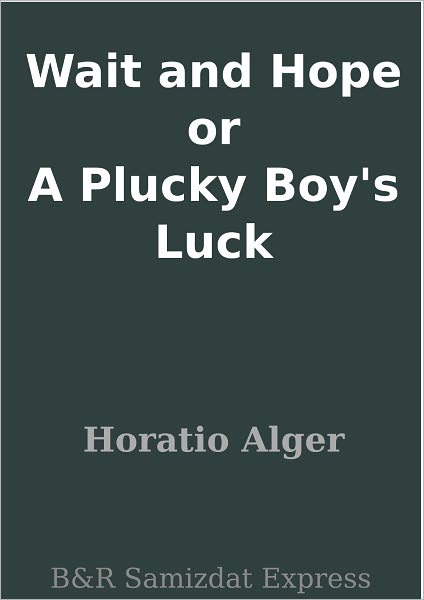 Wait and Hope or A Plucky Boy's Luck