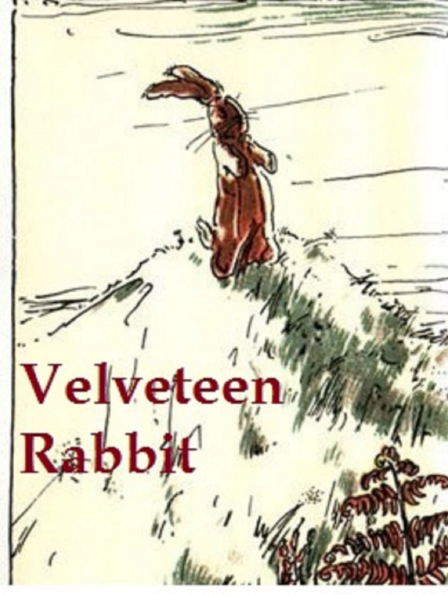 The Velveteen Rabbit or How Toys Become Real, Illustrated: Apple