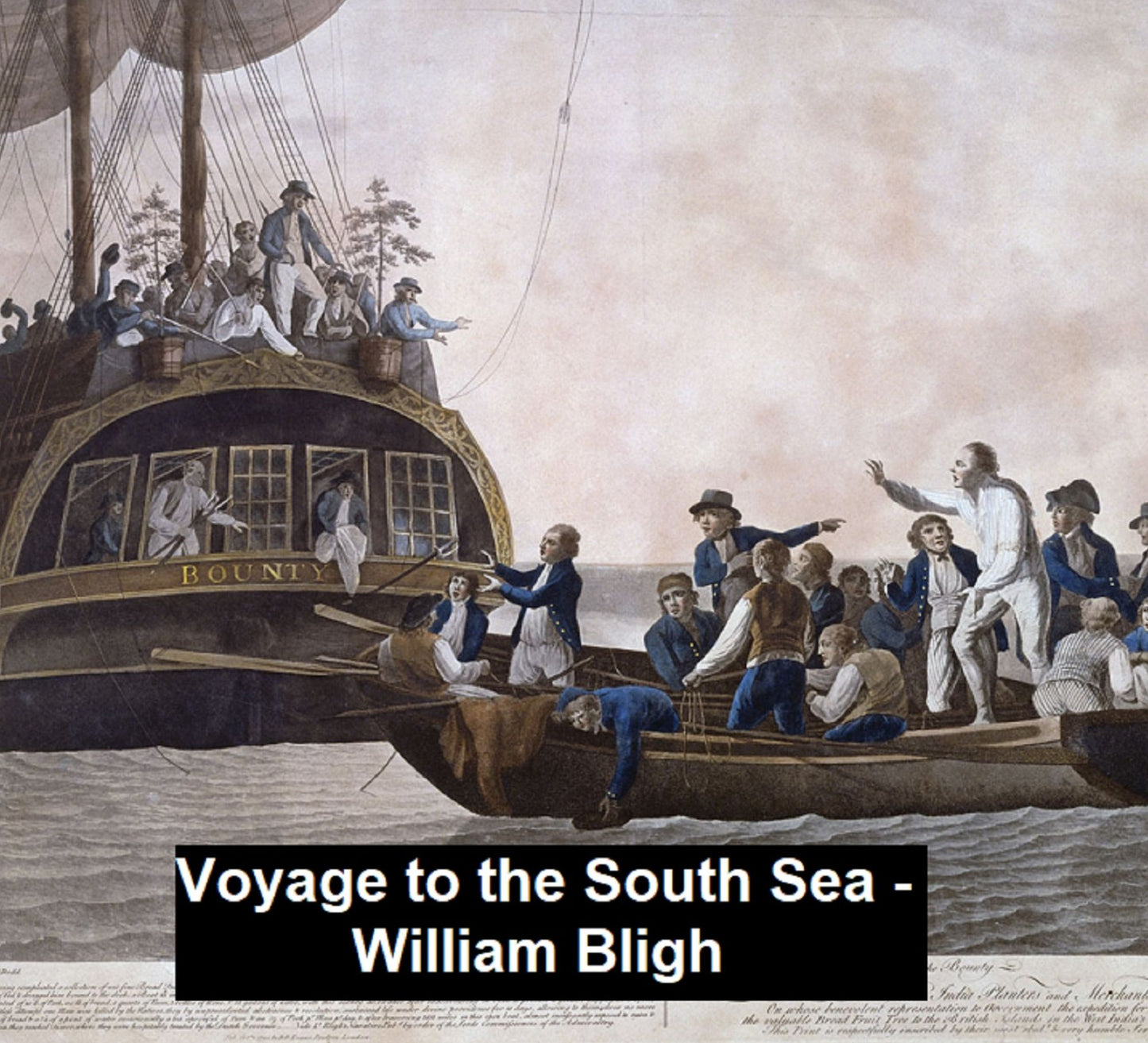 A Voyage to the South Sea (Illustrated)