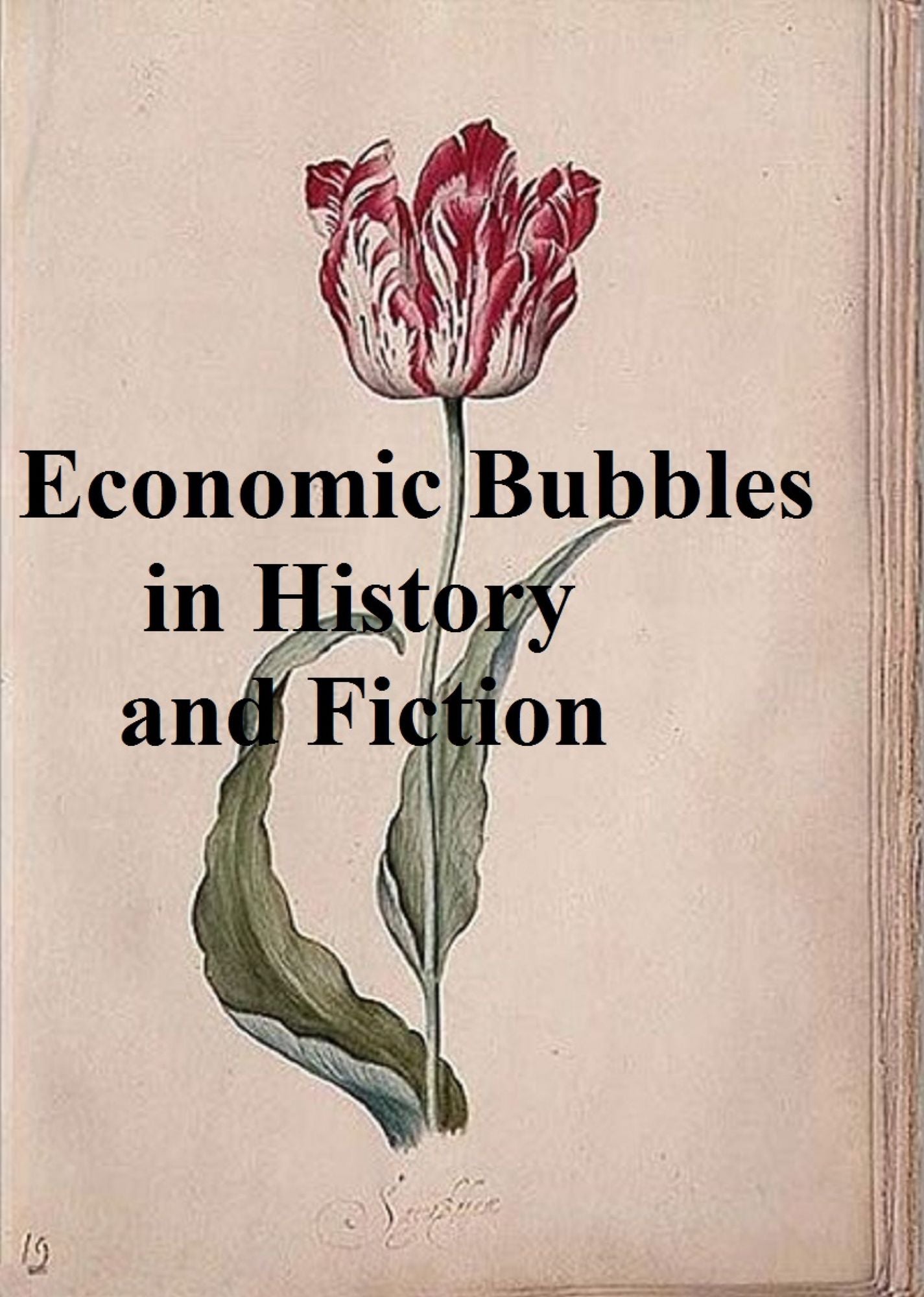 Economic Bubbles in History and Fiction