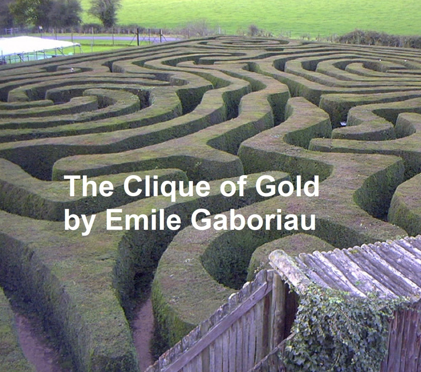 The Clique of Gold