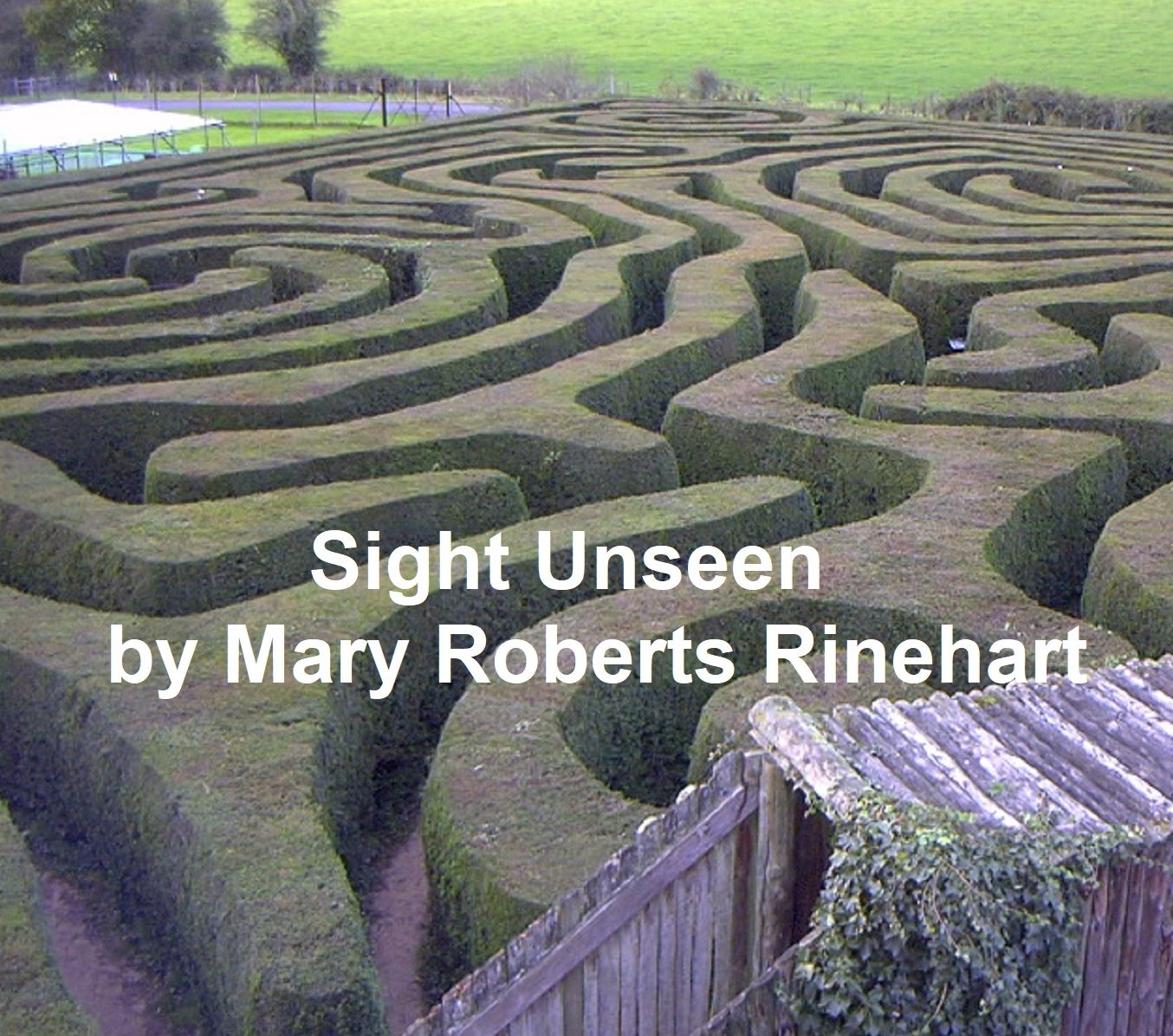 Sight Unseen