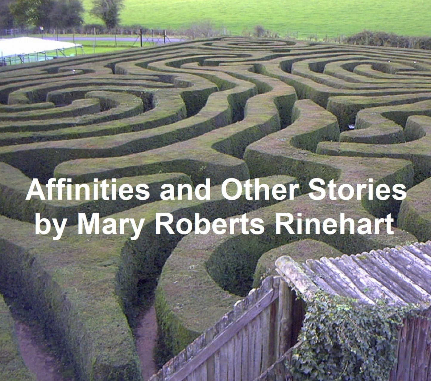 Affinities and Other Stories