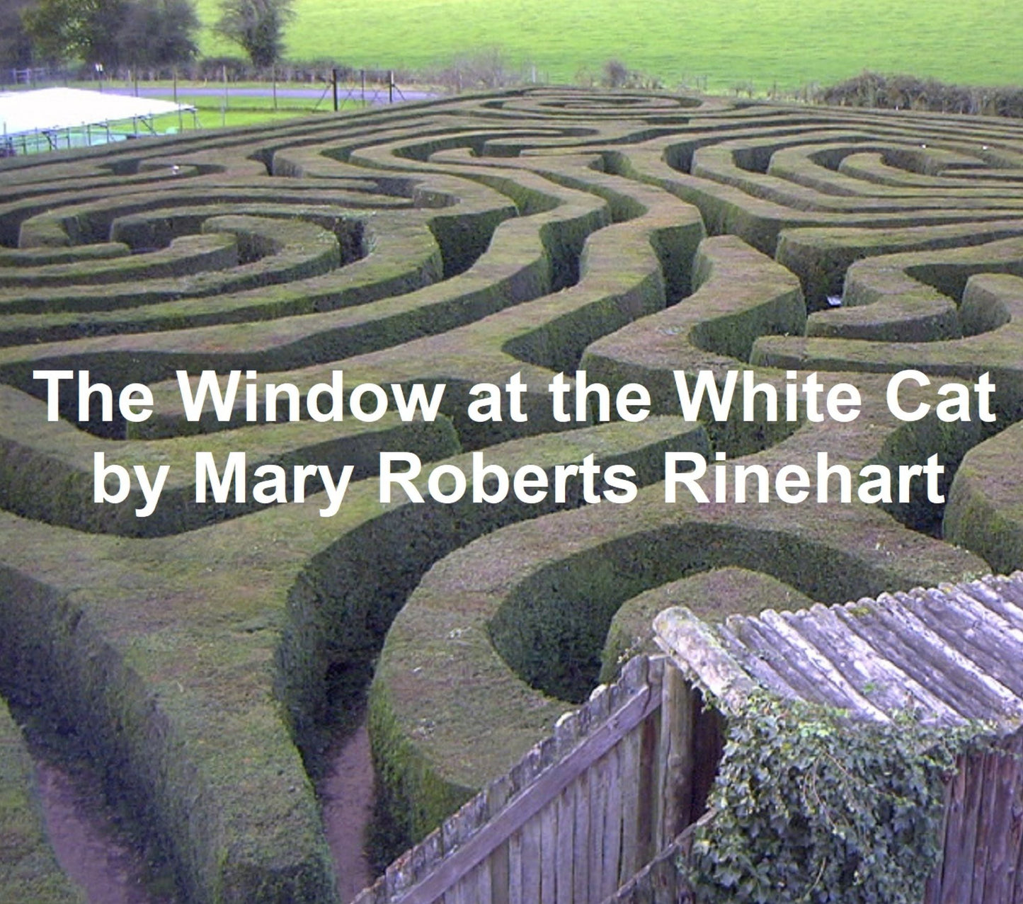 The Window at the White Cat