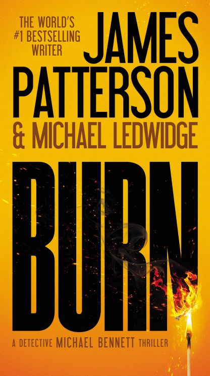 Burn (#1 New York Times Bestseller)