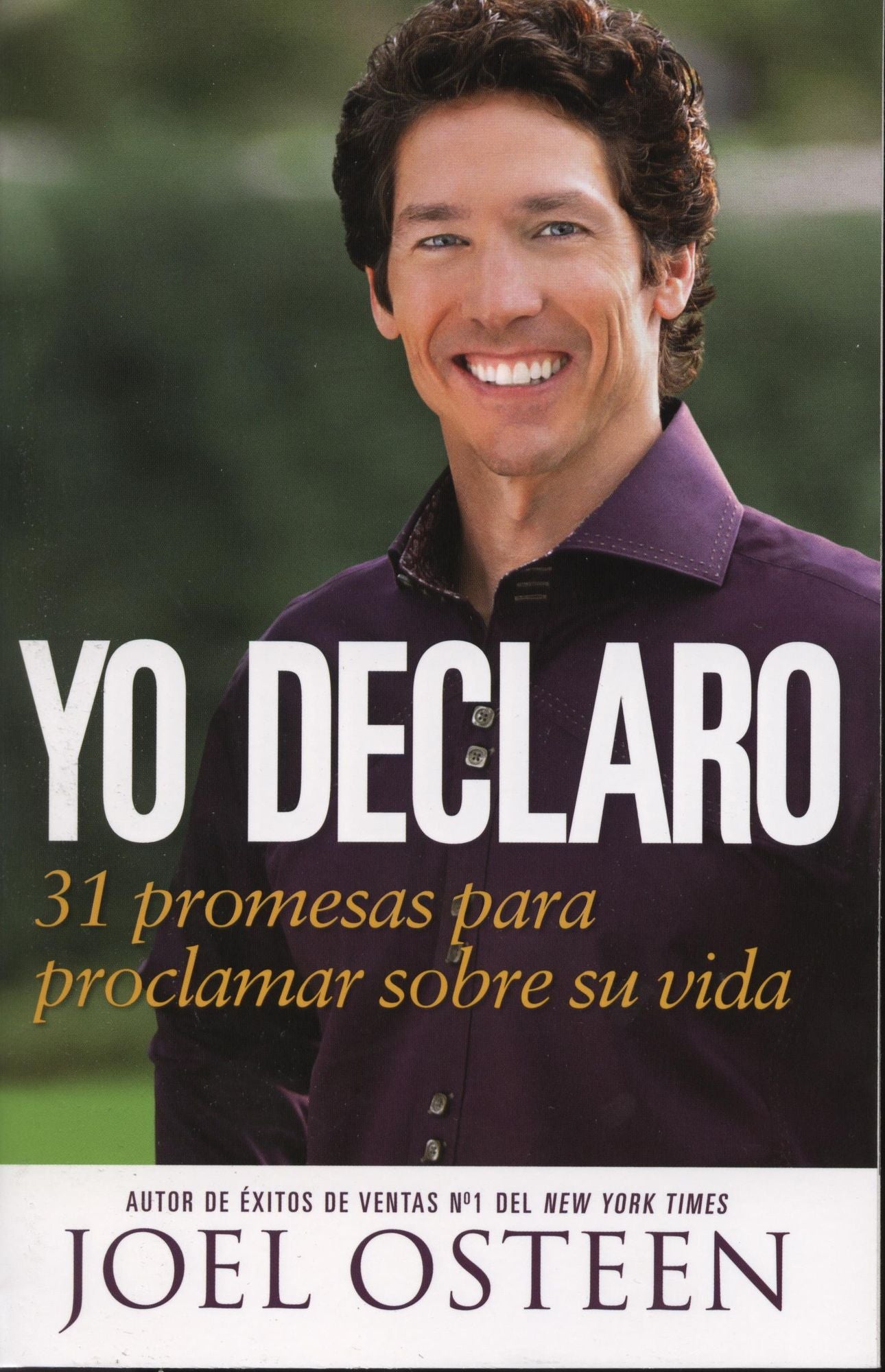 Yo Declaro: 31 Promesas Para Proclamar Sobre Su Vida