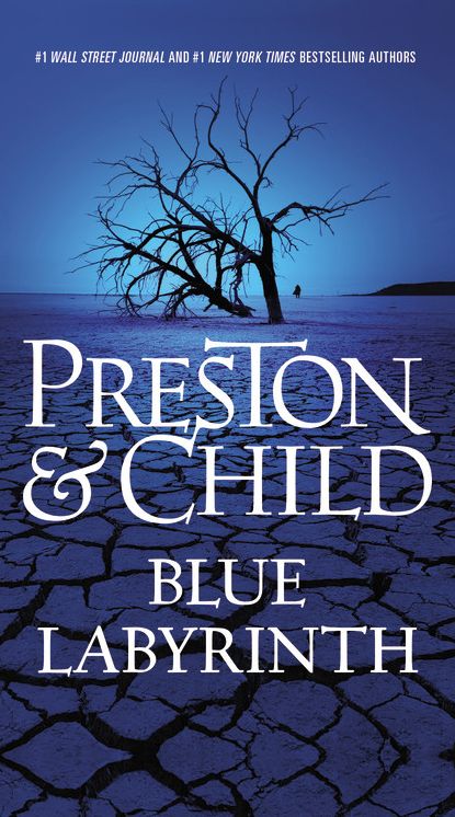 Blue Labyrinth (Special Agent Pendergast Series #14)