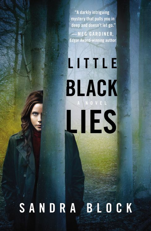 Little Black Lies - Free Preview (First 5 Chapters)