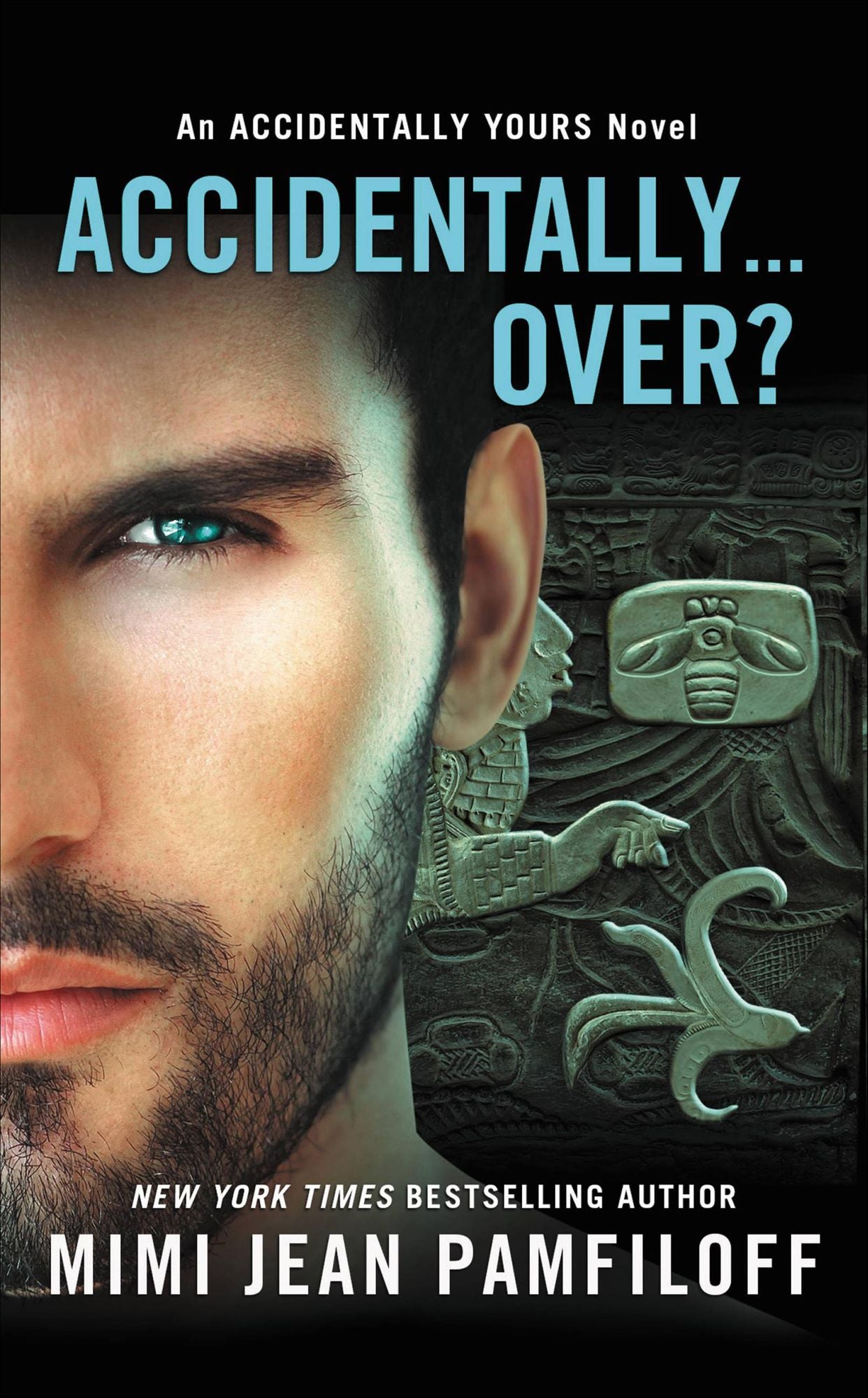 Accidentally...Over? (Accidentally Yours Series #5)
