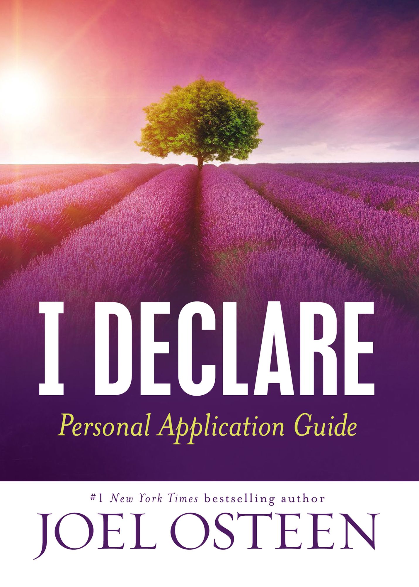 I Declare Personal Application Guide