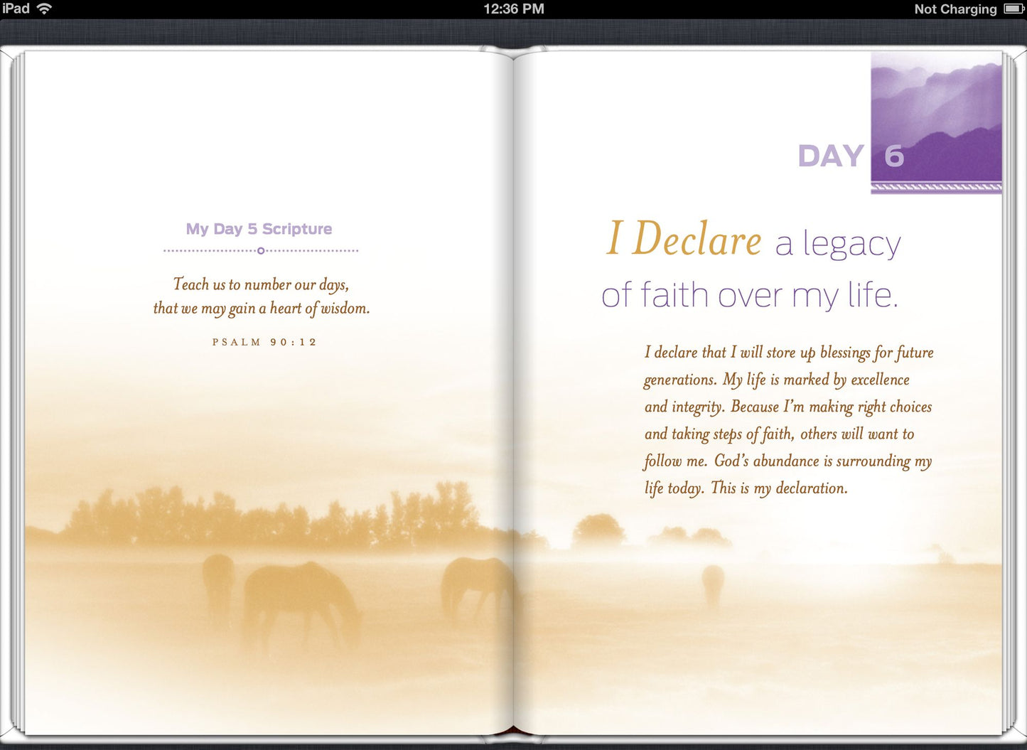 I Declare Personal Application Guide