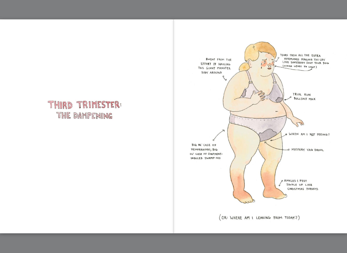 Mama Tried: Dispatches from the Seamy Underbelly of Modern Parenting