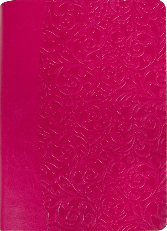 The Everyday Life Bible: The Power of God's Word for Everyday Living