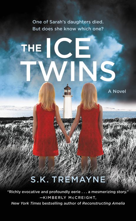 The Ice Twins - EXTENDED PREVIEW (Chapters 1-3): A Novel