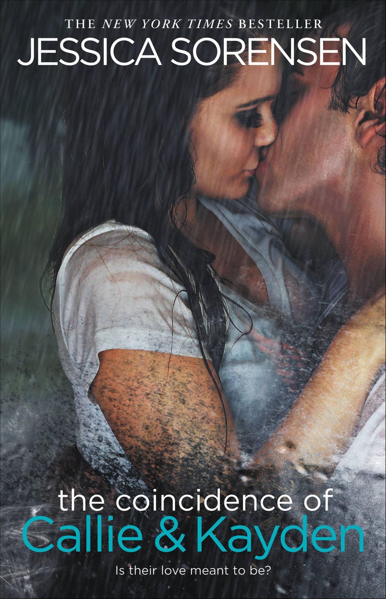 The Coincidence of Callie and Kayden (Callie and Kayden Series #1)