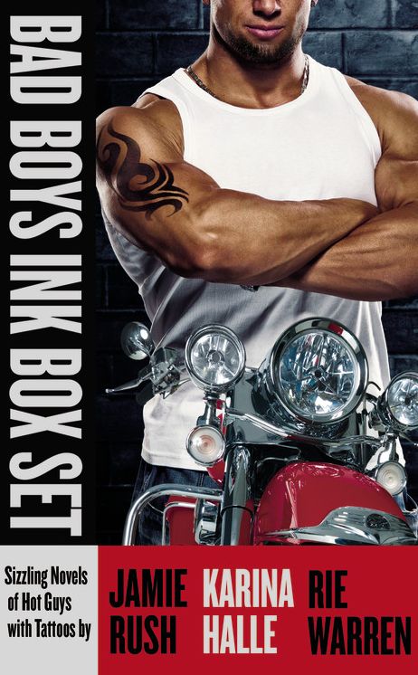 Bad Boys Ink Box Set