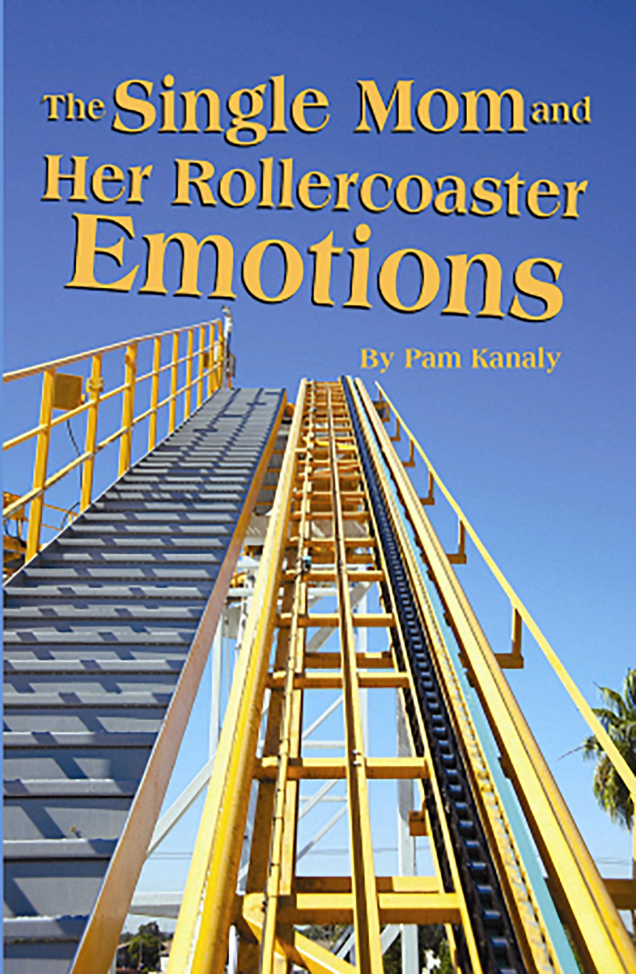The NEWSingle Mom and Her Rollercoaster Emotions