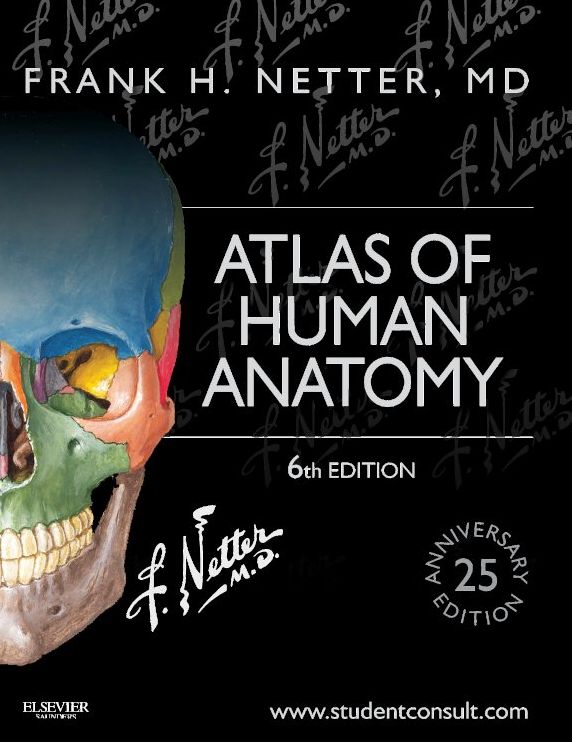 Atlas of Human Anatomy: including Student Consult Interactive Ancillaries and Guides