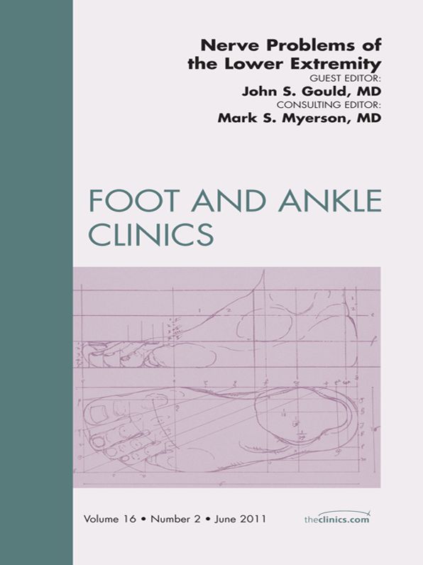 Nerve Problems of the Lower Extremity, An Issue of Foot and Ankle Clinics - E-Book