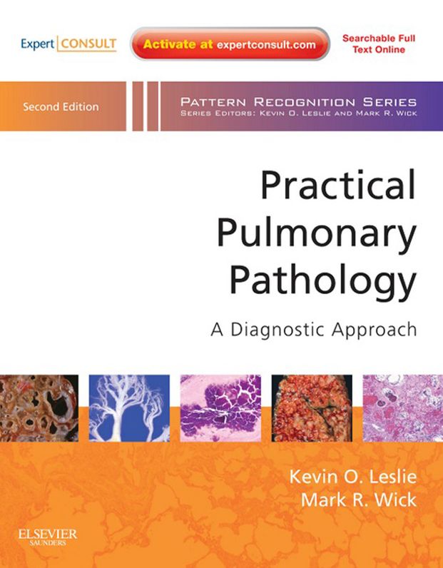 Practical Pulmonary Pathology E-Book: A Diagnostic Approach