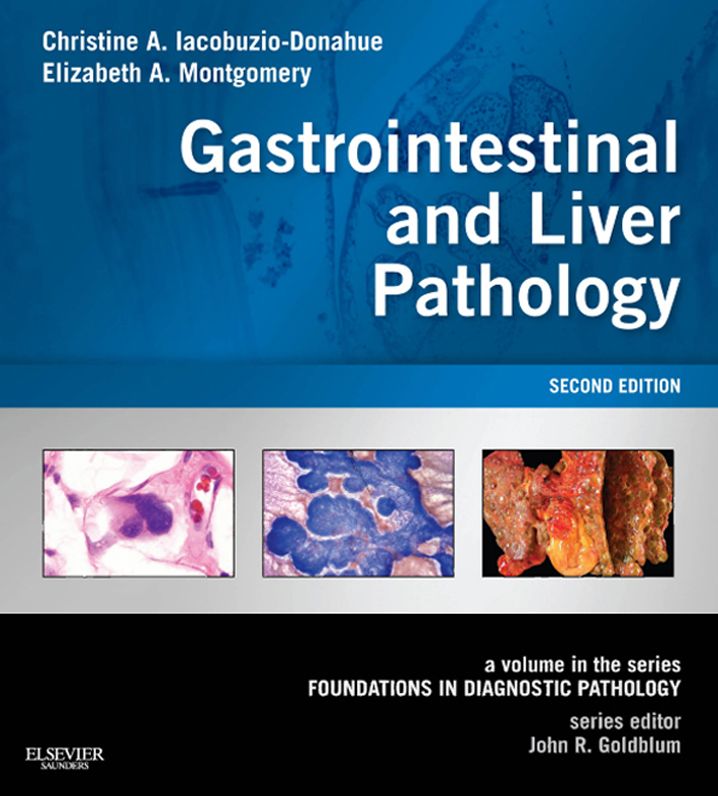 Gastrointestinal and Liver Pathology E-Book: A Volume in the Series: Foundations in Diagnostic Pathology