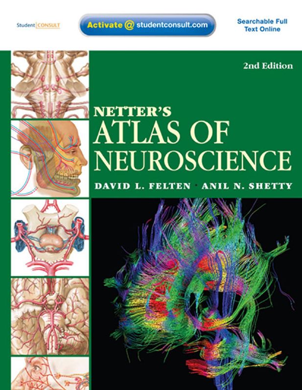 Netter's Atlas of Neuroscience E-Book: with STUDENT CONSULT Online Access