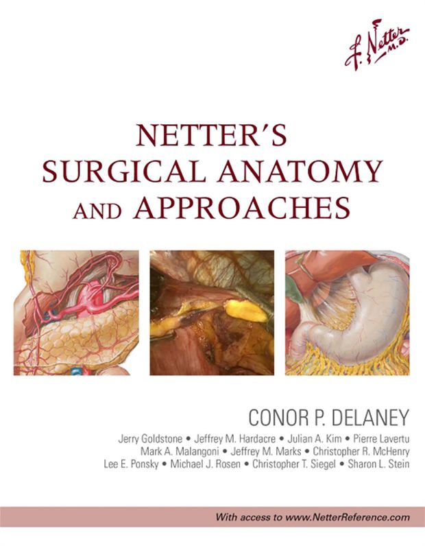 Netter's Surgical Anatomy and Approaches E-Book