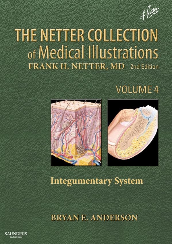 The Netter Collection of Medical Illustrations - Integumentary System E-Book