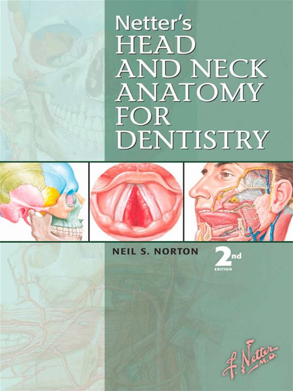 Netter's Head and Neck Anatomy for Dentistry E-Book