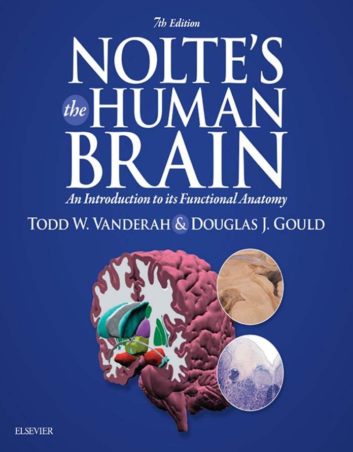 Nolte's The Human Brain E-Book: An Introduction to its Functional Anatomy