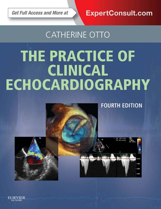 Practice of Clinical Echocardiography E-Book
