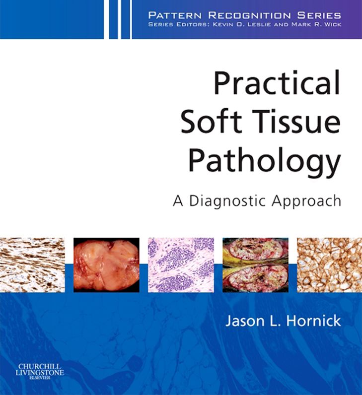 Practical Soft Tissue Pathology: A Diagnostic Approach E-Book: A Volume in the Pattern Recognition Series
