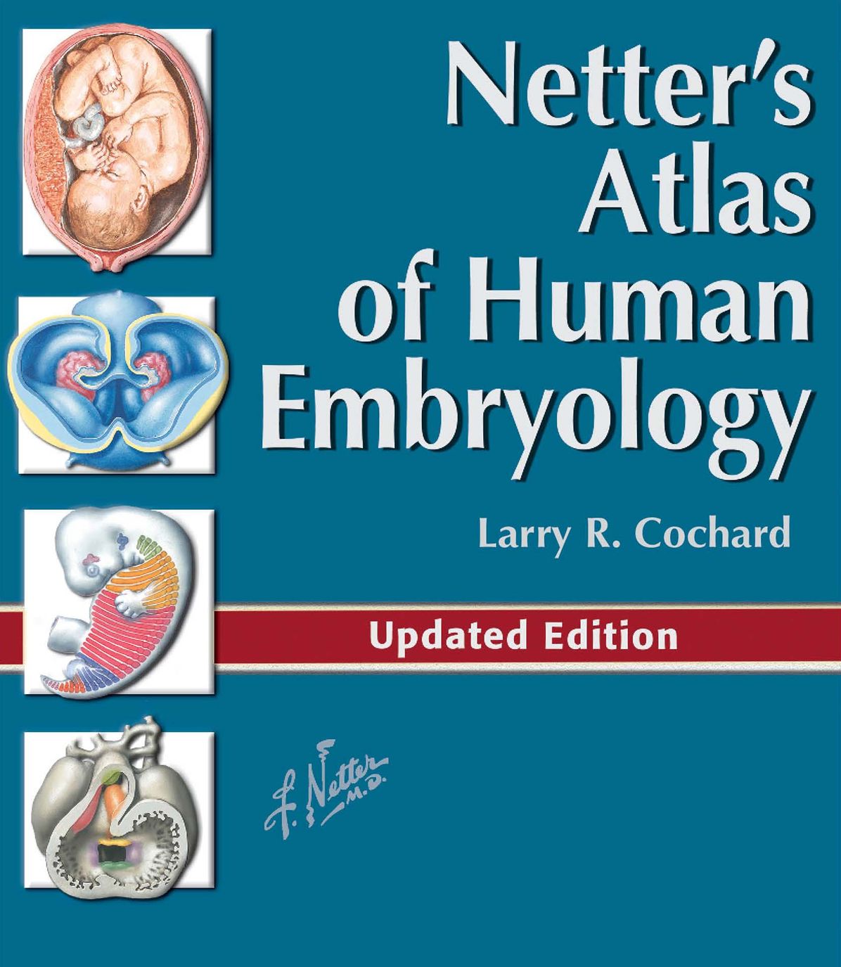 Netter's Atlas of Human Embryology E-Book: Updated Edition