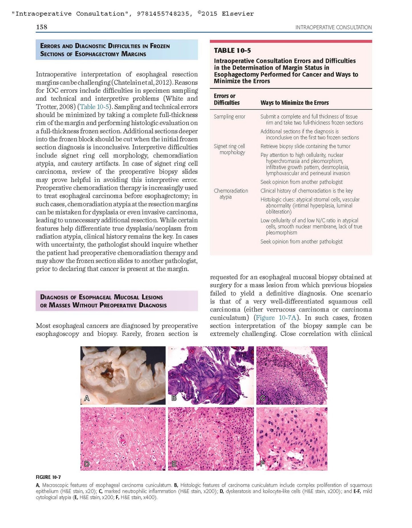 Intraoperative Consultation